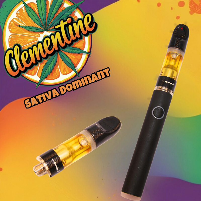 Explore the Best Cannabis Selection in South Africa at Cannamart